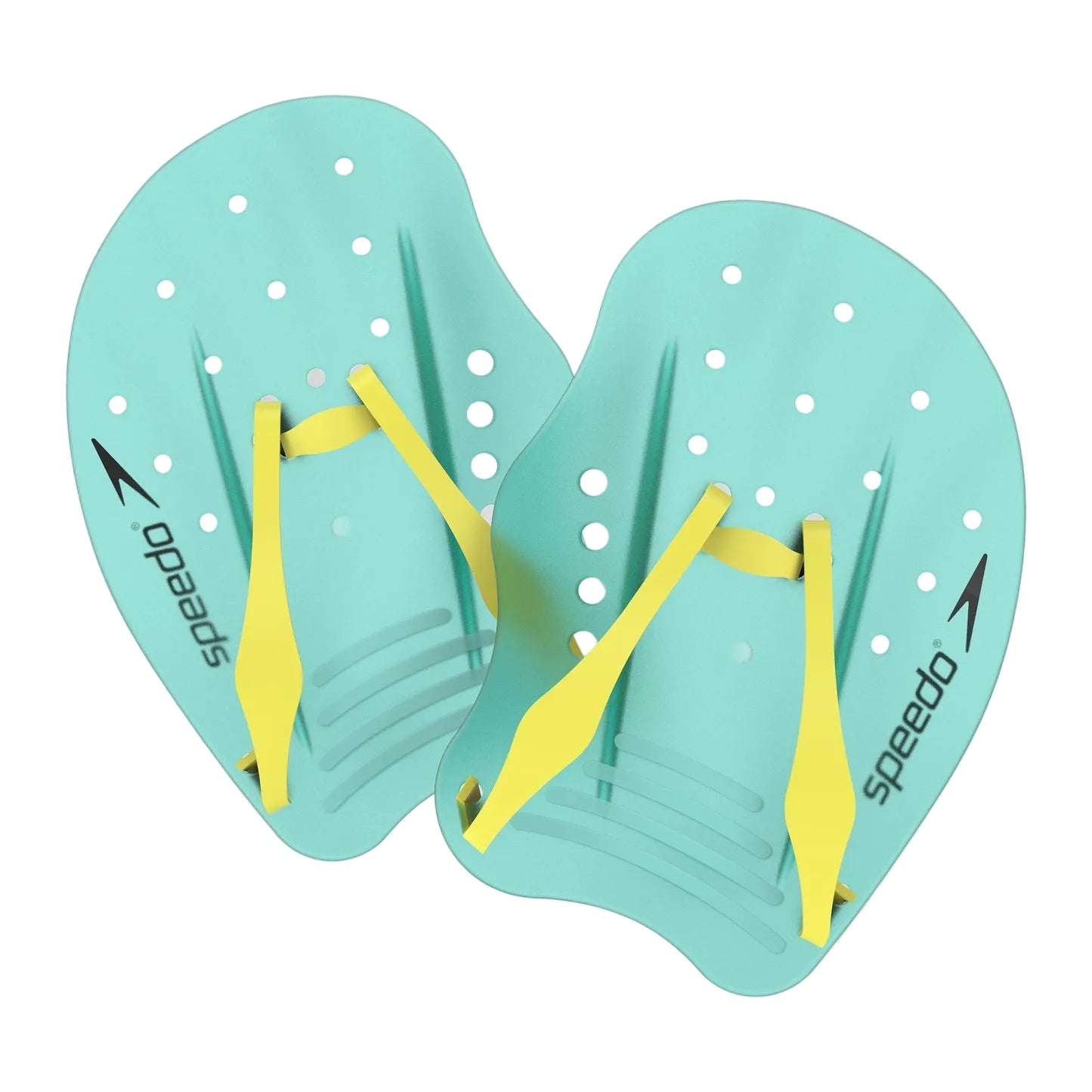 Speedo Green/Blue Tech Paddle